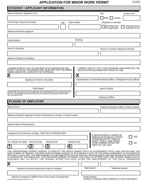 Minor Work Permit PDF Document - Etsy