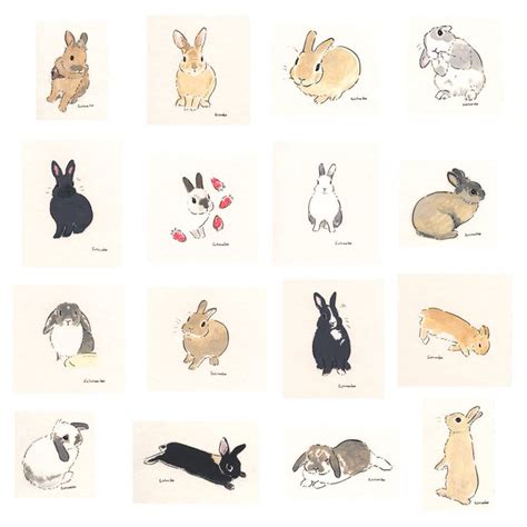 Schinako Moriyamaillustrator Schinako Twitter Bunny Art Cute