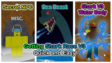 How To Get Shark Race V Blox Fruits Easy Guide Youtube