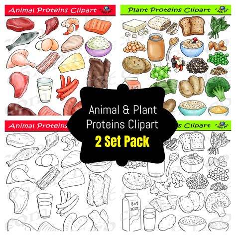 Proteins Food Clipart