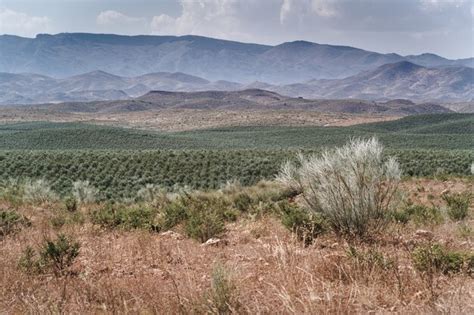 Premium Photo | Desert of tabernas