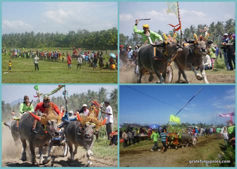 makepung race video indonesian language blog