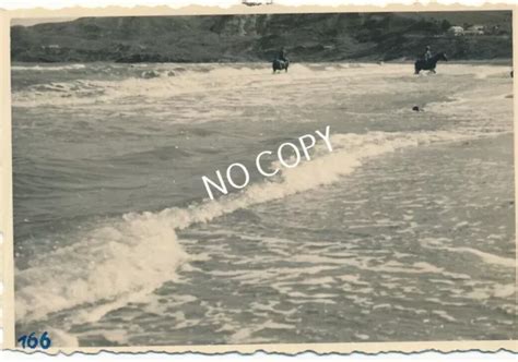 Foto Wk Soldaten Nackt Nude Mit Pferd Meer K Ste Ostfront A Eur