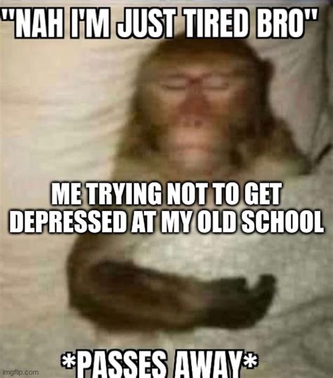 nah im  tired bro passes  imgflip