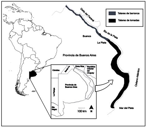 Bosques de tala de la provincia de Buenos Aires ¿Es posible su