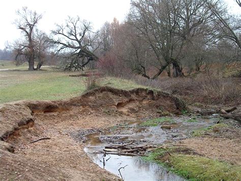 Trfihi Parks | Parks | Naturschutzgebiet Hainberg