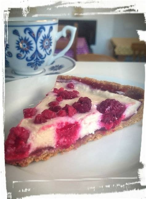 FGV Raspberry No Cheesecake Fat Gay Vegan