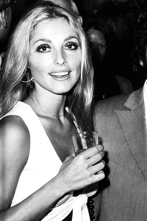 Sharon Tate Such A Beauty Charles Manson Heath Ledger Vintage Glamour Vintage Beauty