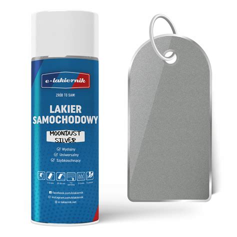 АВТОМОБИЛЬНАЯ КРАСКА НА БАМПЕР FORD MOONDUST SILVER купить на Avtoex из ...