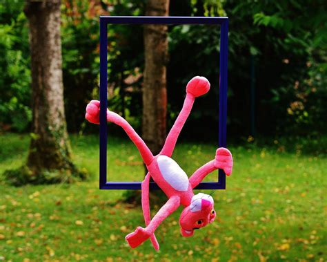 unusual nature images pixabay