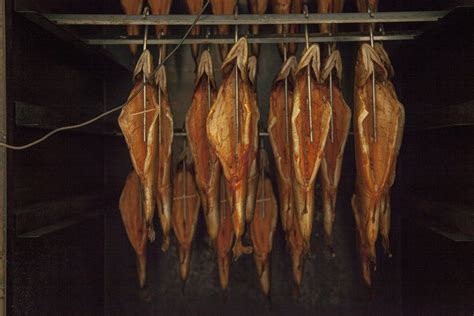 Bergfischzucht Gunzesried F R Isch Auf Den Teller