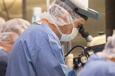 BALB c Nude小鼠 BALB c Nude Mice 维通利华 Charles River