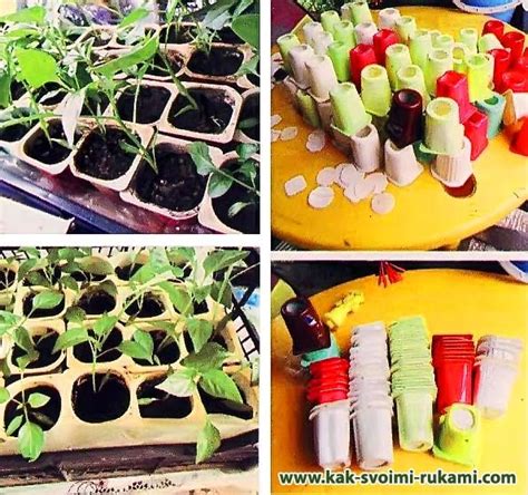 Стаканчики со съемным дном для рассады своими руками | DIY - как ...
