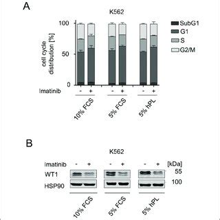 Irinotecan equally causes DNA strand breaks and activates p53 in HCT116 ... 