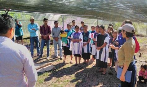 No Se Vacunar N Contra El Covid Pobladores De San Juan Cancuc