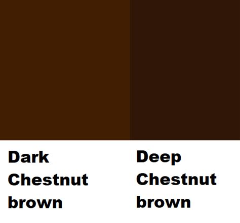Two Shades Of Chestnut Brown by Derincik on DeviantArt