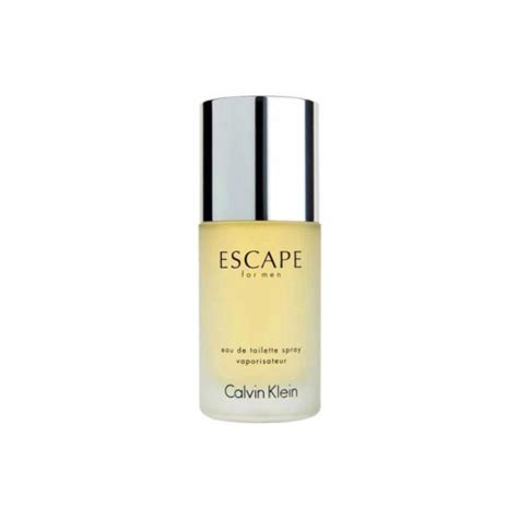 Perfume Escape Calvin Klein Edt Masculino 100ml Submarino