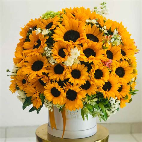 Envía Flores a Domicilio en Ensenada – Flores a Domicilio