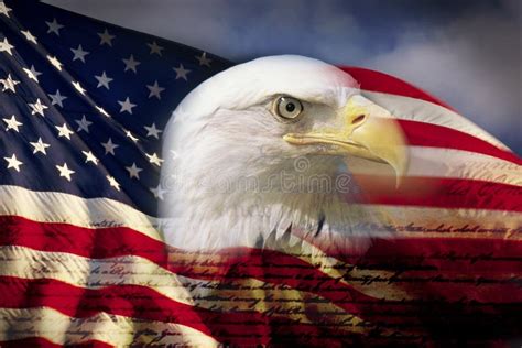 Digital Composite: American Bald Eagle And Flag Is Underlaid With The ...