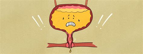 Urinary Dysfunction And Incontinence