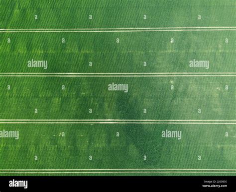 An Aerial View Of Agricultural Plantation Green Field Great Match For