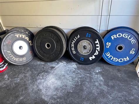 Rubber Trees for sale in Mobile, Alabama | Facebook Marketplace