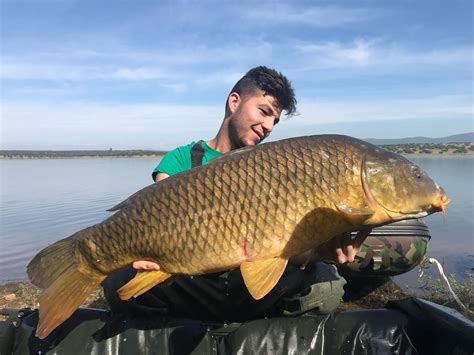 Curso De Obtenci N De Licencia De Pesca Continental En Andaluc A Carp