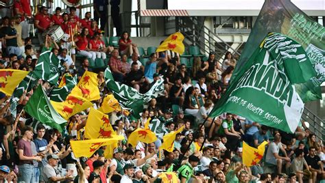 Top 14 découvrez le calendrier de la Section Paloise pour la saison