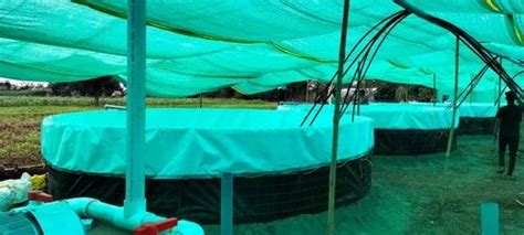 Agrani Pvc Biofloc Aquaculture Fish Farming Tanks At Piece In Pune