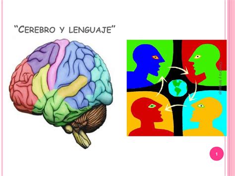 Cerebro Y Lenguaje Pdf Afasia Hemisferio Cerebral