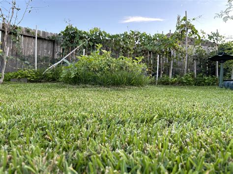 Houston faces severe drought crisis – The Bridge