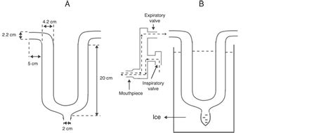 Nitric Oxide In The Exhaled Breath Condensate Of Healthy Volunteers