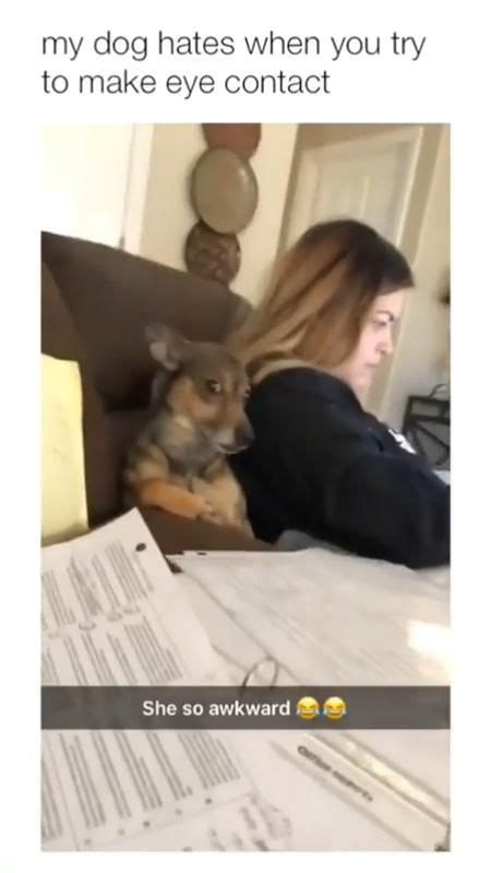 Try Not to Laugh - Funny Prank Viral Joke Video