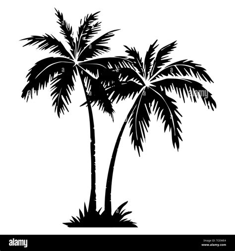 Palm Tree Illustration Hi Res Stock Photography And Images Alamy