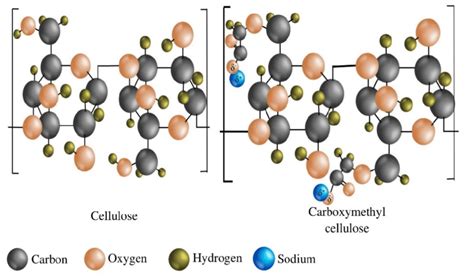 The fundamental structural difference between cellulose and ...