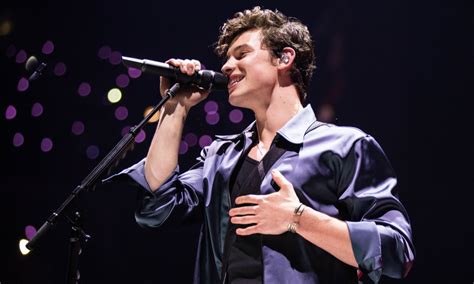Is Shawn Mendes Gay The Real Answer