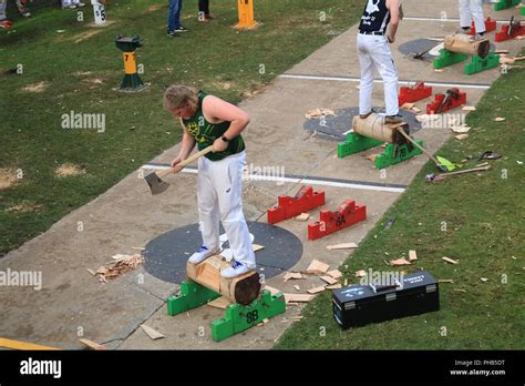 Woodchopping Axe Hi Res Stock Photography And Images Alamy