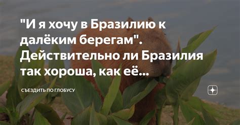 И я хочу в Бразилию к далёким берегам Действительно ли Бразилия так