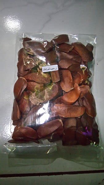 Jual Biji Mahoni Kering Herbal Asli Alami Di Lapak Lia Store Bukalapak