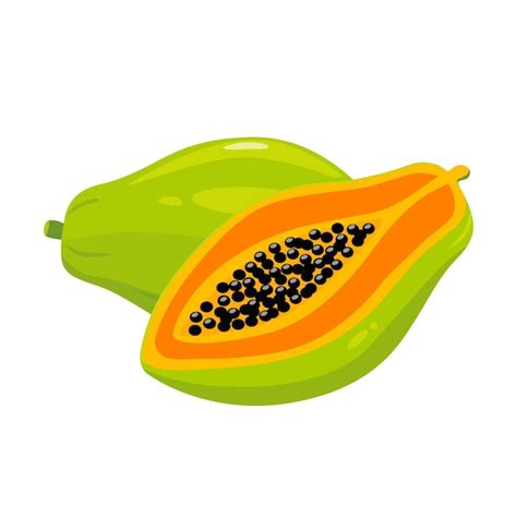 Premium Vector Papaya Cut Fruit Isolated Vector Illustration