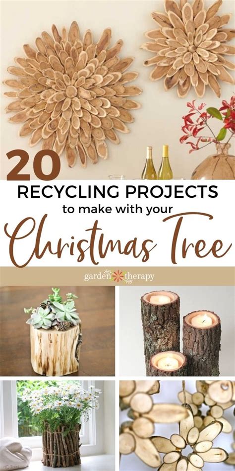 What To Do With A Christmas Tree 20 Artful Recycling Tasks Dreamcontents