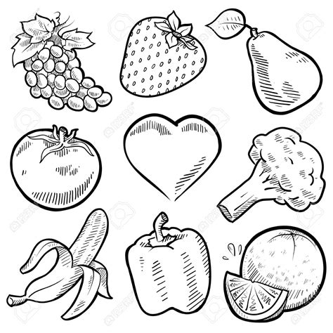 Drawing Pictures Of Fruits And Vegetables At Getdrawings Free Download