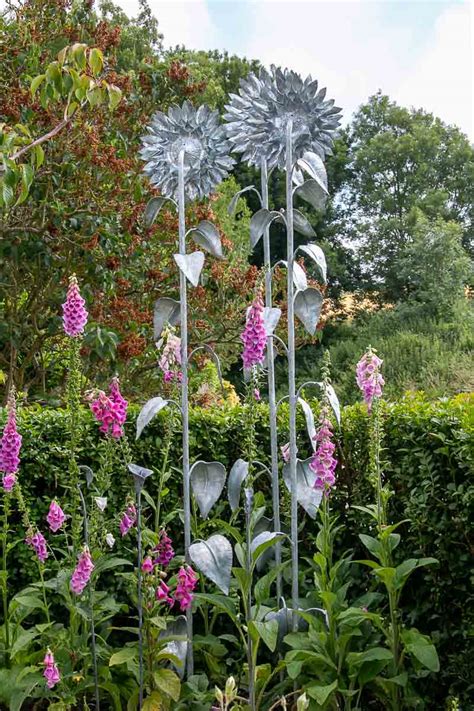 Galvanised And Rusty Steel Sunflower Garden Sculpture