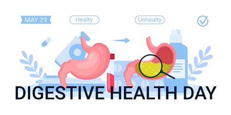 Premium Vector World Digestive Health Day Illustration Digestive Health Day Anatomy For Medical