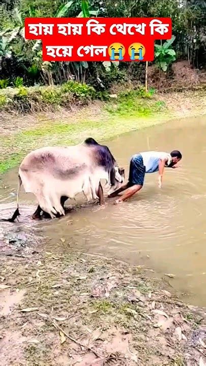 হায় হায় কি থেকে কি হয়ে গেল 😭funny Shorts Youtube