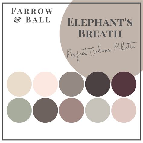 Elephant S Breath Perfect Colour Palettes Burlington ON