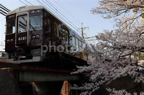 阪急電車と夙川の桜 No 1537232｜写真素材なら「写真ac」無料（フリー）ダウンロードok