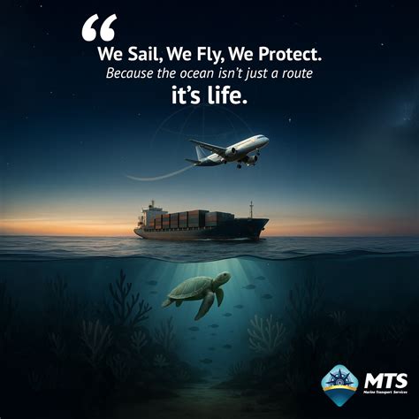 mts stands for 3