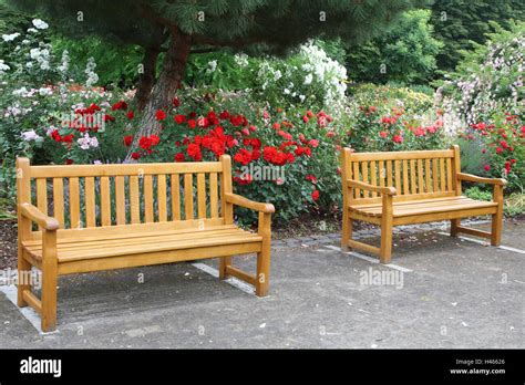 Rose Garden Benches Stock Photo Alamy