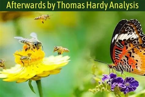 Analysis Of The Poem Afterwards By Thomas Hardy All About English Literature